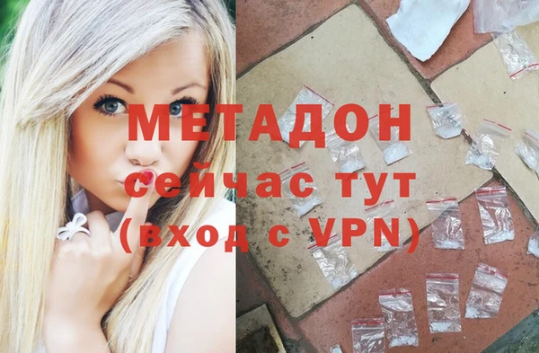 шишки Аркадак