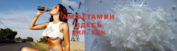 шишки Аркадак