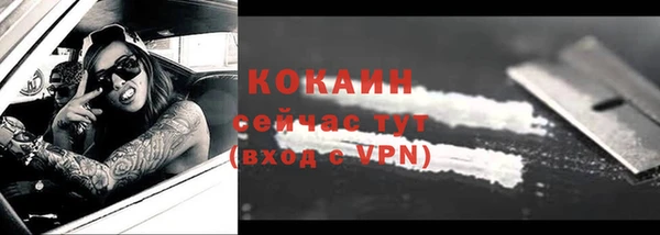 крисы Армянск