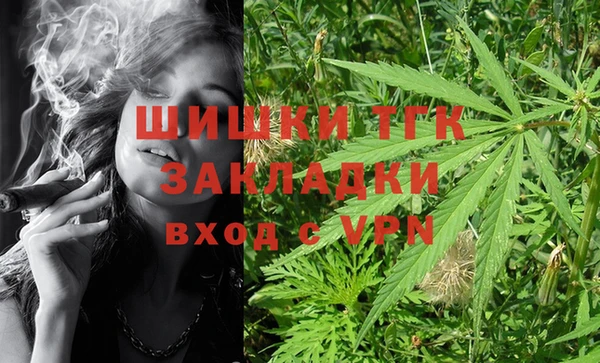 крисы Армянск