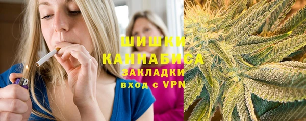шишки Аркадак