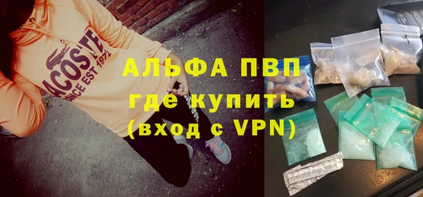 шишки Аркадак