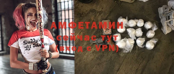 шишки Аркадак