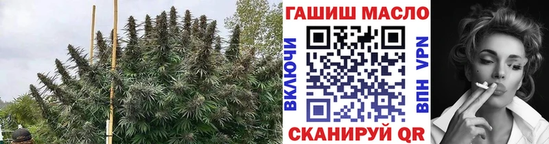 где купить наркотик Красково Дистиллят ТГК гашишное масло